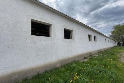 Spațiu industrial, de 800 mp, în Sud-Est - 9