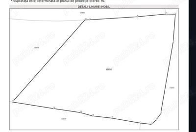 Casă cu 4 camere cu Teren 2650 Mp în Țârdenii Mari - 5