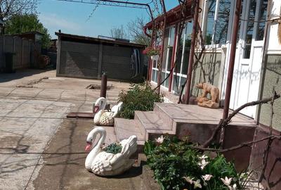 Casă cu 5 camere în Pădureni (Jebel) - 2