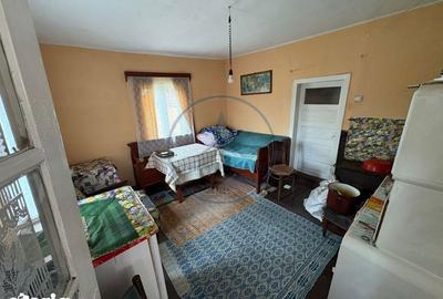 Casă cu 3 camere cu Teren 1329 Mp în Petru Rareș - 3