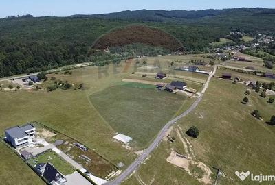 Teren de 3322 mp, în Paltin - 13