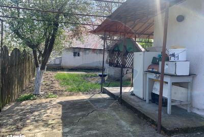 Casă cu 3 camere cu Teren 1090 Mp în Avram Iancu - 10