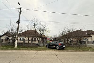 Casă cu 2 camere cu Teren 5800 Mp în Dumbrava - 9