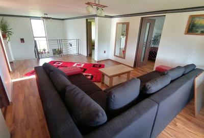 Casă cu 6 camere în Ibănești - 6