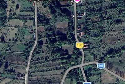 Teren de 2300 mp, în Polovragi - 3