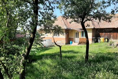 Teren Construcții intravilan de 2589 mp, în Rediu - 2