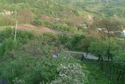 Casă cu 1 camere cu Teren 5000 Mp în Drajna - 6