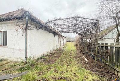 Casa cu 1.924 mp teren, de inchiriat, Sfantu Gheorghe - 5