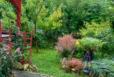 Colt de rai intr-un peisaj de poveste! Casa 4 camere intre D Colt de rai intr-un peisaj de poveste! Casa 4 camere intre D - 10