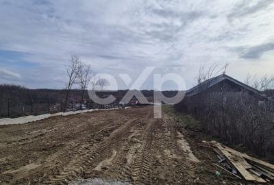 Teren de 1500 mp, în Albota - 3