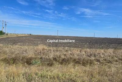 Teren extravilan cu poten?ial de dezvoltare, la sosea DN6 - 5