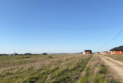 Teren de 505 mp, în Cihei - 5