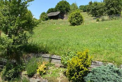 Casa  P+M, cu teren de 9721 mp - 10