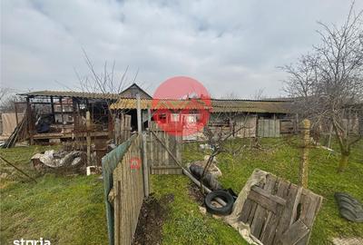 Casă cu 4 camere cu Teren 4489 Mp în Murighiol - 15