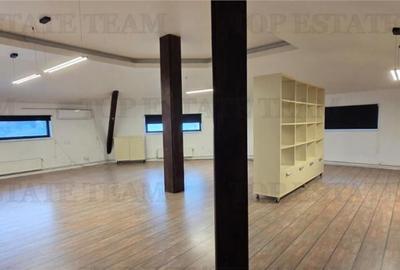 Casa individuala de zona Domenii - 10