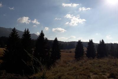 Ocazie unica la licitatie: Teren cu Potential Turistic Major in Poiana Brasov - 3