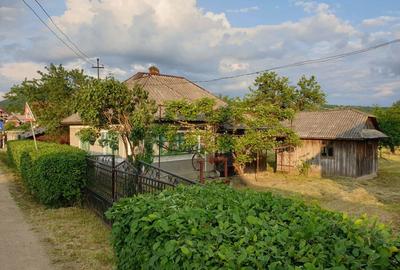 Casă cu 3 camere cu Teren 3867 Mp în Central - 3