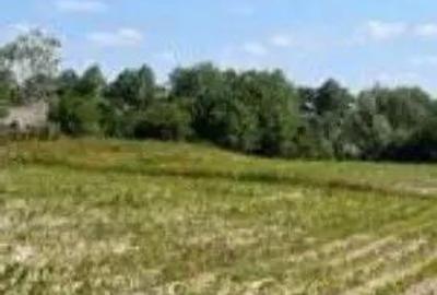 Teren Poiana Zvoristea cota parte 1/2, ID: R2850731 - 9