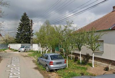 Casă cu 3 camere în Chișineu-Criș - 1