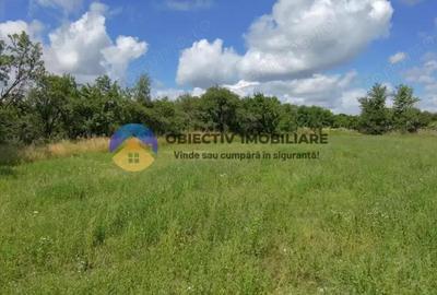 Teren intravilan de vanzare Unghi- jud. Neamt - 2