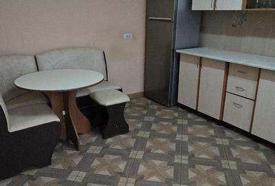 Casa renovata total in 2 studiouri separate cu curte - 9