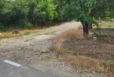 Teren de 1271 mp, în Domnești - 2