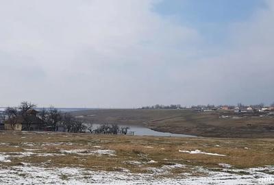 Teren de 1000 mp, în Valea Argovei - 9