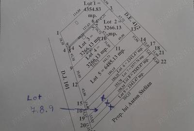 Teren de 7265 mp, în Siliștea Snagovului - 3