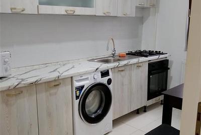 Apartament 1 camera Lunca Cetatuii - 4