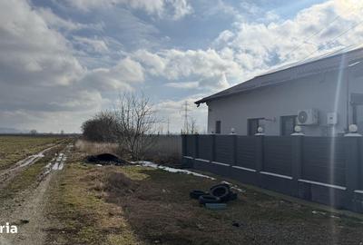 Spațiu comercial, în Letea Veche - 6