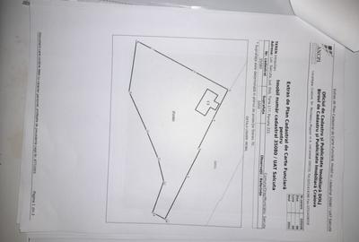 Teren 2900 m2, com. Salcuta, Jud. Dolj - 8