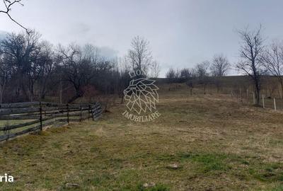 Casă cu 2 camere în Bociu - 7