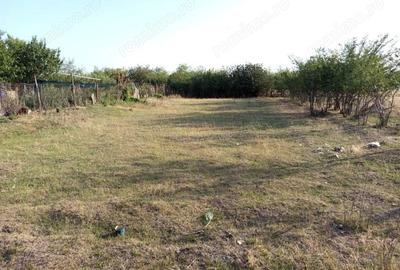 Berliste, Casa 6 Incaperi, 1129mp Teren, Pret Negociabil - 3