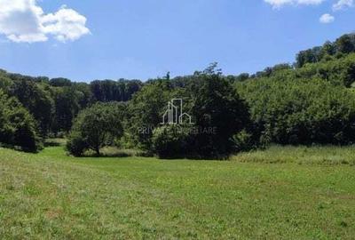 Teren de 20 mp, în Daneș - 19