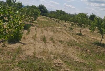 Spațiu comercial, în Docani - 4