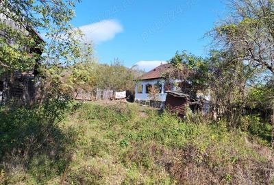 Teren 10000mp.Loc Calvini - 2