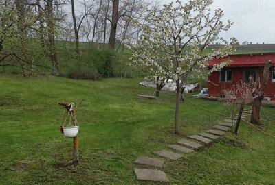 Casă cu 3 camere cu Teren 35000 Mp în Central - 5