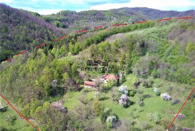 Teren de 69237 mp, în Criș - 7