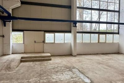 Spațiu industrial, de 990 mp, în Tătărași - 1