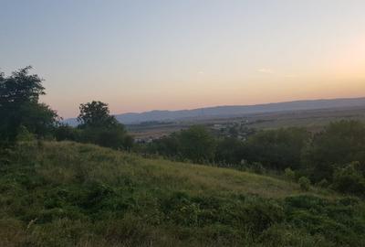 Teren Buhoci langa Padure