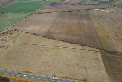 Teren 22.500 mp-Pecica, jud. Arad,Posibilitate PUZ - 7