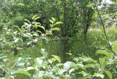 Casa situata in carttierul rezidential Domnesti - 4