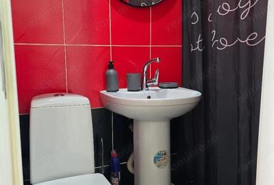 Garsonieră în Theodor Pallady