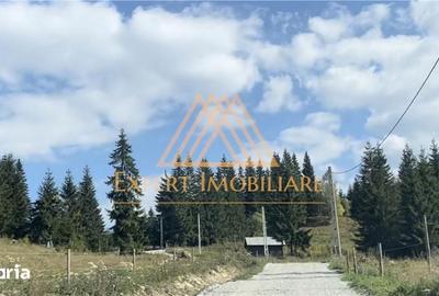 Casă cu 4 camere cu Teren 29000 Mp în Central - 8