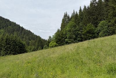 Teren intravilan de 11375 mp, în Central - 3