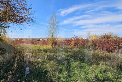 Teren in Doicesti 2000 mp, intravilan - 1