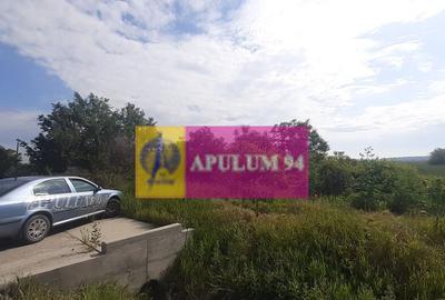 Teren perfect pentru deschiderea unei afaceri langa Buc... - 9