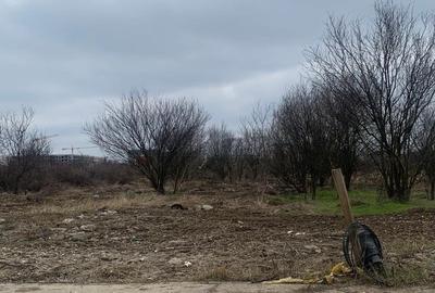 Teren Construcții intravilan de 10000 mp, în Central - 3