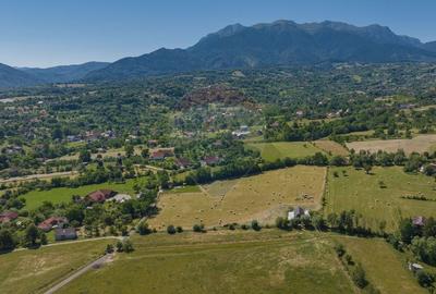 Teren Construcții intravilan de 6900 mp, în Bran - 8