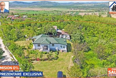 Casă individuală cu 4 camere cu Teren 10000 Mp în Podenii Vechi - 10
